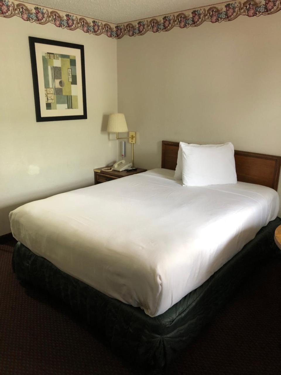 Rexdale Inn Seminole Eksteriør billede