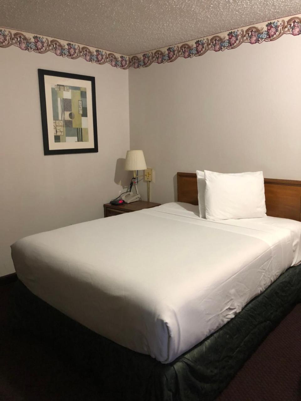 Rexdale Inn Seminole Eksteriør billede